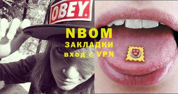 шишки Верея