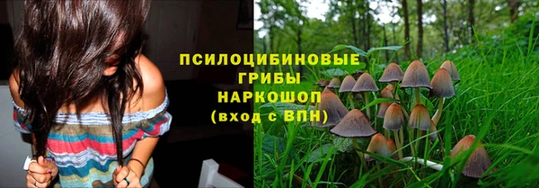 МДМА Белокуриха