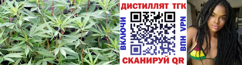 Купить закладки  Горячий Ключ  Дистиллят ТГК жижа 