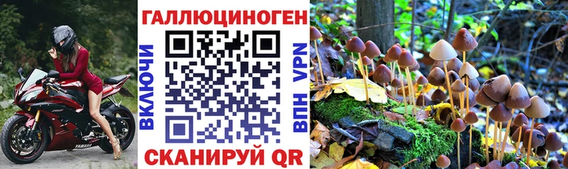 Купить  Горячий Ключ  Галлюциногенные грибы мухоморы 